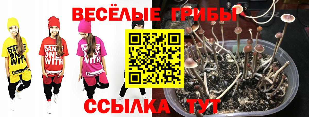 Псилоцибиновые грибы мухоморы  где купить наркотик  Железноводск  Вход с VPN 